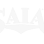 Saia-LTL-Freight-Tracking